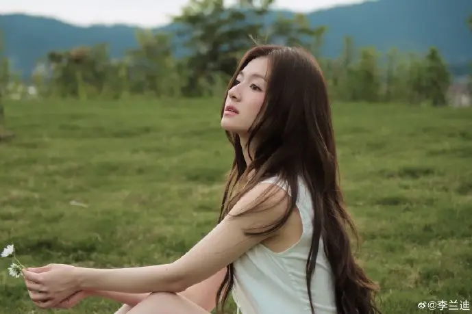 IP软件风险示意图